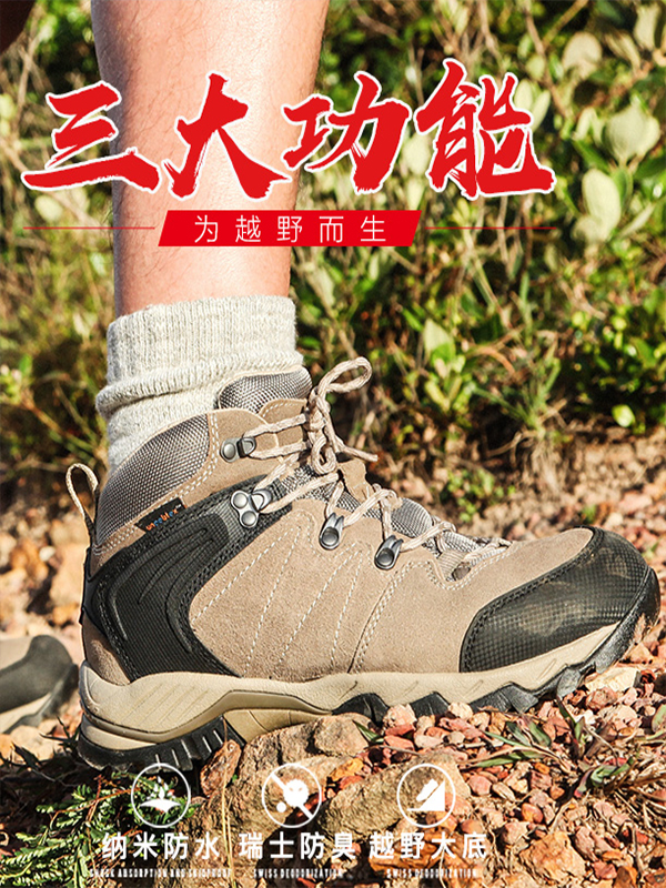 洛弛