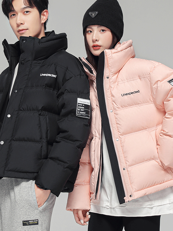 雪中飞