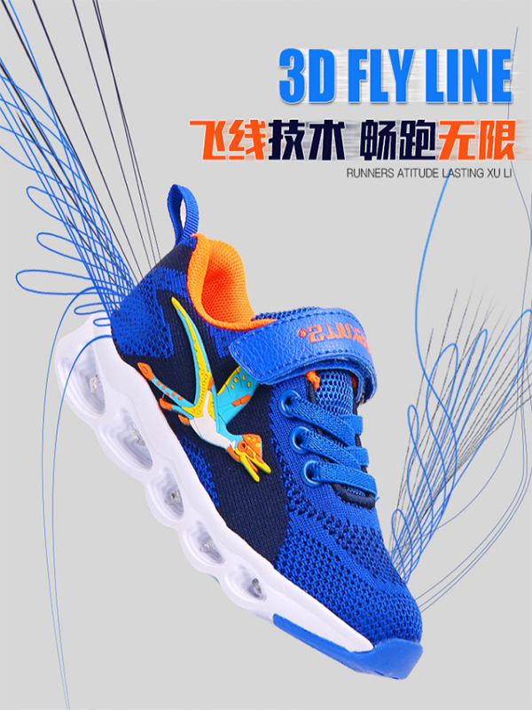 迪乐龙